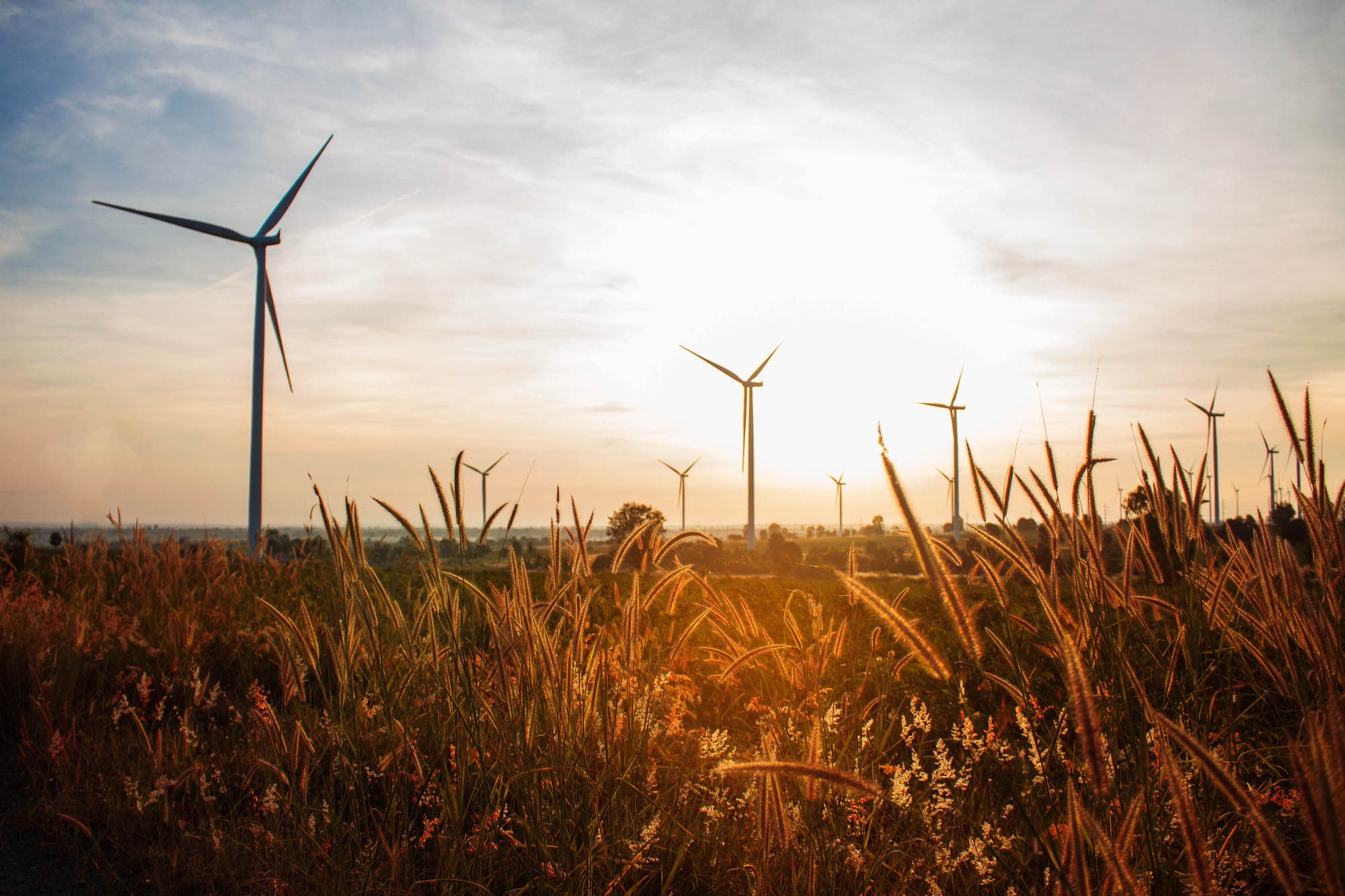 klimatvänlig bakgrund med vindkraftverk